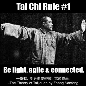 Tai Chi Rule 1 - Be light agile and connected